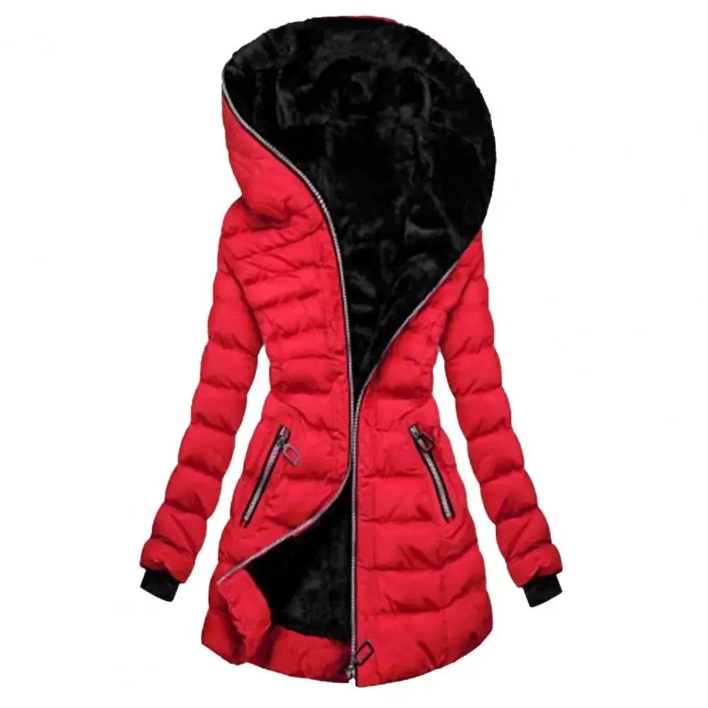 Fabulous Winter Coat Solid Color Zipper Closure Wear-resistant Hooded Quilted Women Overcoat